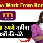 Meesho Work From Home Job: ₹26,000 रूपये महीना कमाओं बैठे-बैठे