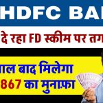 HDFC Bank Scheme: यह बैंक दे रहा FD स्कीम पर सबसे तगड़ा रिटर्न, देखें पूरी जानकारी