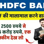 SIP Super Profit: HDFC म्यूचुअल फंड की मालामाल करने वाली स्कीम, केवल 2500 रुपये से बनाएं 1.5 करोड़ रुपये, एक बार स्कीम देख लो