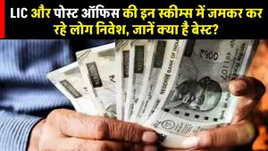 LIC Vs Post Office: LIC और पोस्ट ऑफिस की इन स्कीम्स में जमकर कर रहे लोग निवेश, जानें क्या है बेस्ट?