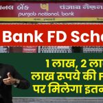 PNB FD Scheme: 1 लाख, 2 लाख, 5 लाख रूपये की FD करने पर मिलेगा इतना रिटर्न