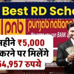 PNB RD Scheme: हर महीने 5,000 रूपये जमा करने पर मिलेंगे 3,54,957 रुपये