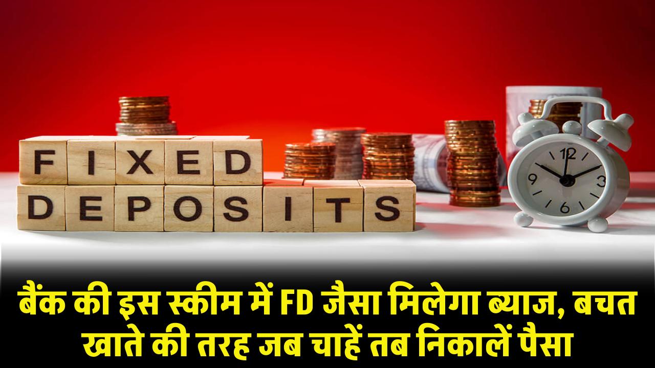 Bank Deposit: इस स्कीम में FD जैसा मिलेगा ब्याज, बचत खाते की तरह जब चाहें तब निकालें पैसा