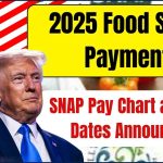 2025 Food Stamp Payments