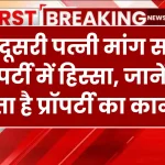 property rights: क्या दूसरी पत्नी मांग सकती है प्रॉपर्टी में हिस्सा, जानें क्या होता है प्रॉपर्टी का कानून