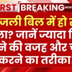 Bijli Meter: बिजली के बिल में आपके साथ हो रहा खेला? ज्यादा बिल आने की वजह, जान लीजिए कैसे करेंगे चेक...