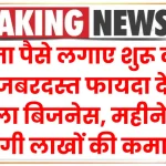 Business idea: बिना पैसे लगाए शुरू करें ये जबरदस्त फायदा देने वाला बिजनेस, महीने में होगी लाखों की कमाई