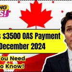 Canada’s $3500 OAS Payment for December 2024