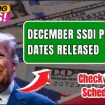 December SSDI Payment Dates Released