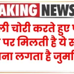 Electricity Rule: बिजली चोरी करते हुए पकड़े जाने पर मिलती है ये सजा, देखें कितना लगता है जुर्माना