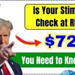 Is Your $725 Stimulus Check at Risk