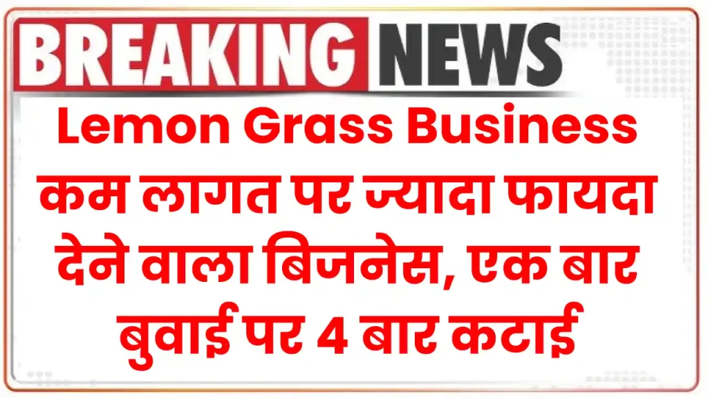 Lemon Grass Business: कम लागत पर ज्यादा फायदा देने वाला बिजनेस, एक बार बुवाई पर 4 बार कटाई 