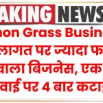 Lemon Grass Business: कम लागत पर ज्यादा फायदा देने वाला बिजनेस, एक बार बुवाई पर 4 बार कटाई