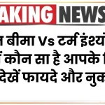 जीवन बीमा Vs टर्म इंश्योरेंस? जानें कौन सा है आपके लिए बेस्ट, देखें फायदे और नुकसान