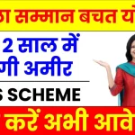 MSS Scheme: सरकारी स्कीम से मात्र 2 साल में अमीर बन सकती हैं महिलाएं, ऐसे करें आवेदन