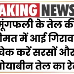 Edible Oil: मूंगफली के तेल की कीमत में आई गिरावट, चेक करें सरसों और सोयाबीन तेल का रेट