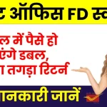 2 Year FD: आपके पैसे हो जाएंगे डबल, यहाँ मिलेगा तगड़ा इन्टरेस्ट रेट