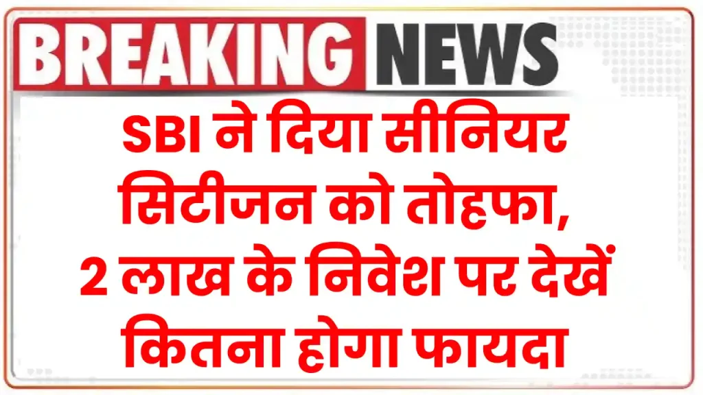 SBI ने दिया सीनियर सिटीजन को तोहफा, 2 लाख के निवेश पर देखें कितना होगा फायदा