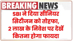 SBI ने दिया सीनियर सिटीजन को तोहफा, 2 लाख के निवेश पर देखें कितना होगा फायदा