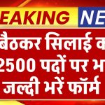 Silai Vacancy Work from Home: घर बैठकर सिलाई करने के 2500 पदों पर भर्ती, जल्दी फॉर्म भरें