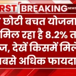 इन छोटी बचत योजनाओं में मिल रहा है 8.2% तक ब्याज, देखें किसमें मिलेगा सबसे अधिक फायदा?