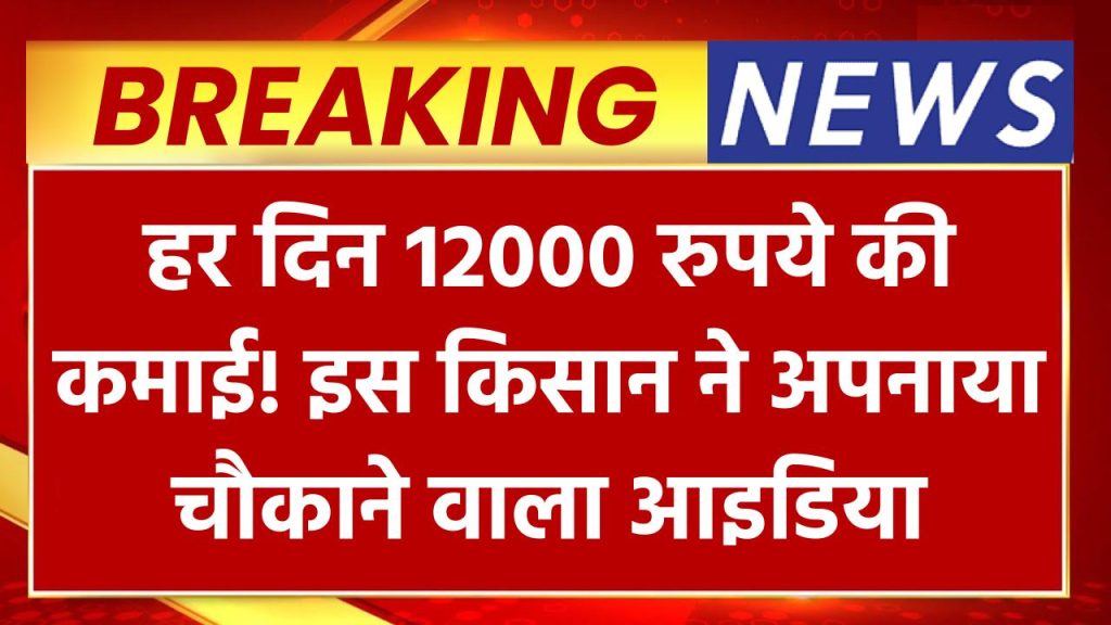 हर दिन 12000 रुपये की कमाई! इस किसान ने अपनाया ऐसा आइडिया कि पूरे गांव में मच गई हलचल