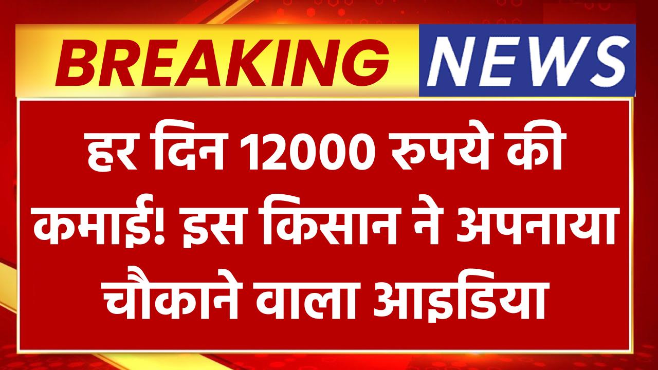 हर दिन 12000 रुपये की कमाई! इस किसान ने अपनाया ऐसा आइडिया कि पूरे गांव में मच गई हलचल