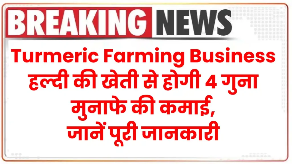 Turmeric Farming Business हल्दी की खेती से होगी 4 गुना मुनाफे की कमाई, जानें पूरी जानकारी