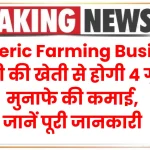 Turmeric Farming Business हल्दी की खेती से होगी 4 गुना मुनाफे की कमाई, जानें पूरी जानकारी