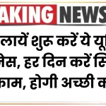 Business Idea: महिलायें शुरू करें ये यूनिट बिजनेस, हर दिन करें सिर्फ 2 घंटा काम, होगी अच्छी कमाई