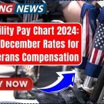 VA Disability Pay Chart 2024