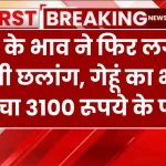 Mandi Bhav: गेहूं के भाव ने फिर लगाई ऊंची छलांग, गेहूं का भाव पहुंचा 3100 रूपये के पास