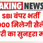 SBI बंपर भर्ती, 47000 मिलेगी सैलेरी, रोजगार का सुनहरा मौका जानें न दें