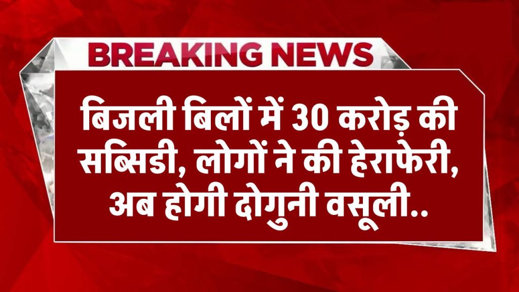 बिजली बिलों में 30 करोड़ की सब्सिडी, लोगों ने कर दी हेराफेरी, अब होगी दोगुनी वसूली..