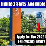 2025 NUS Young Fellowship