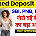 Fixed Deposit FD: 2025 के लिए SBI, PNB, HDFC जैसे बड़े बैंकों का बड़ा अपडेट, देखें एफडी की पूरी जानकारी