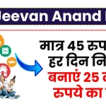 LIC Jeevan Anand Plan: मात्र 45 रुपये करें हर दिन निवेश, बनाएं 25 लाख रुपये का फंड