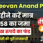 LIC Jeevan Anand Policy: हर महीने करें मात्र 1358 रुपये का प्रीमियम जमा, पाएं 25 लाख रुपये का फंड