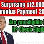 Stimulus Payment 2025