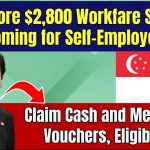 Workfare Support coming for Self-Employed